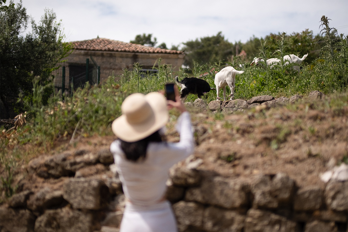 Exploring the Streets of Adatepe