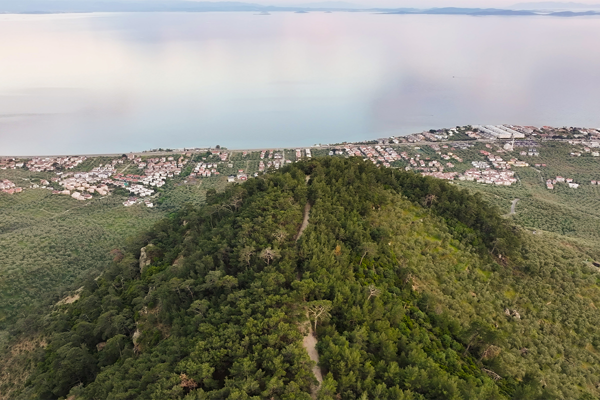 Natural Environment and Its Surroundings
