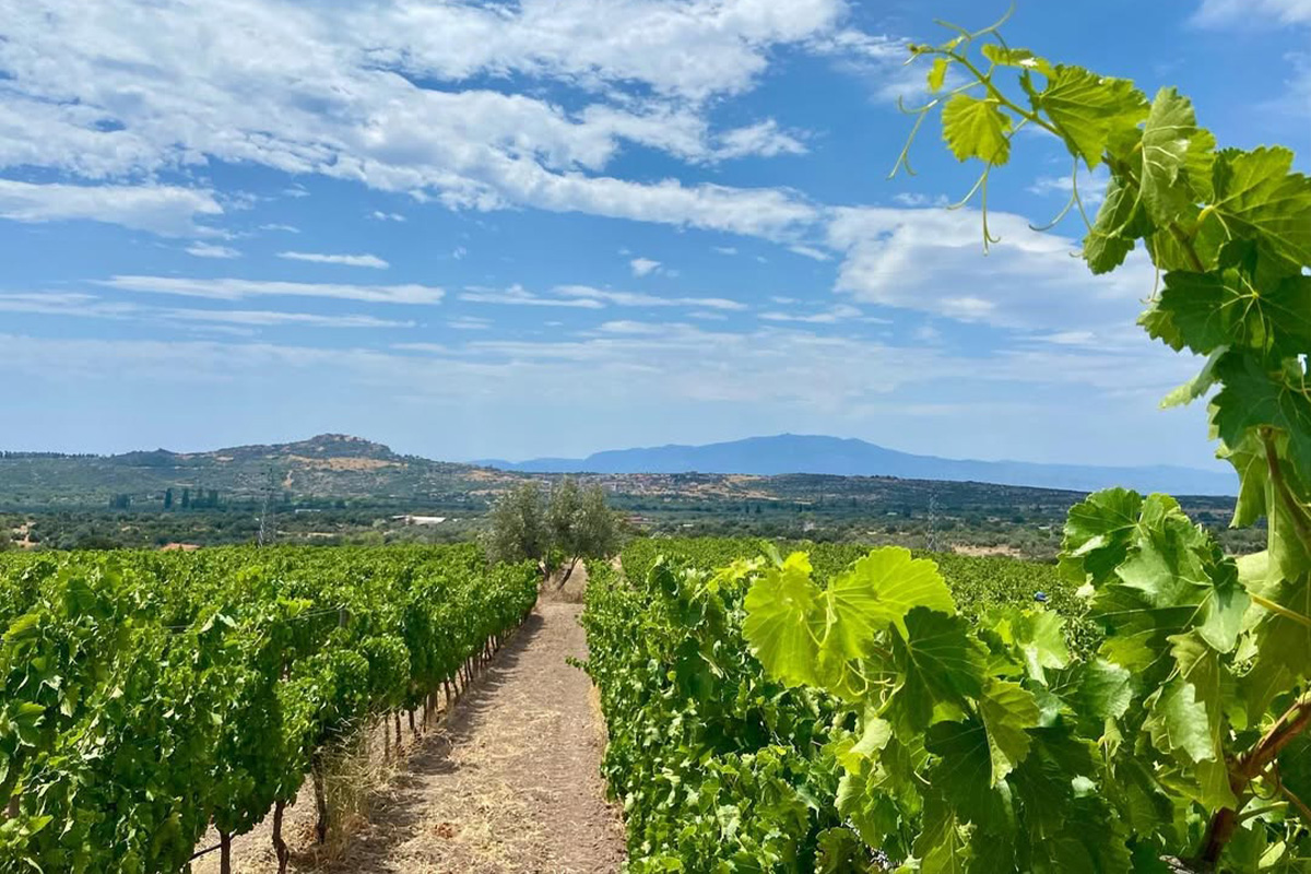 Yetiştirme Felsefemiz