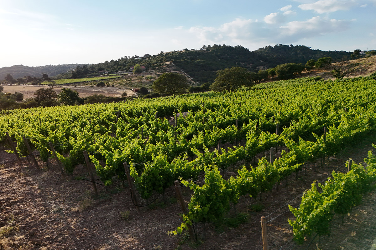 Yetiştirme Felsefemiz