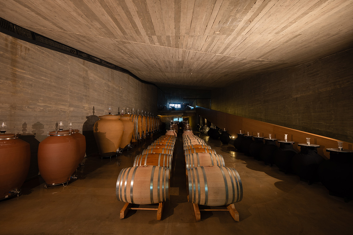 Şarap Yapımı Sanatımız