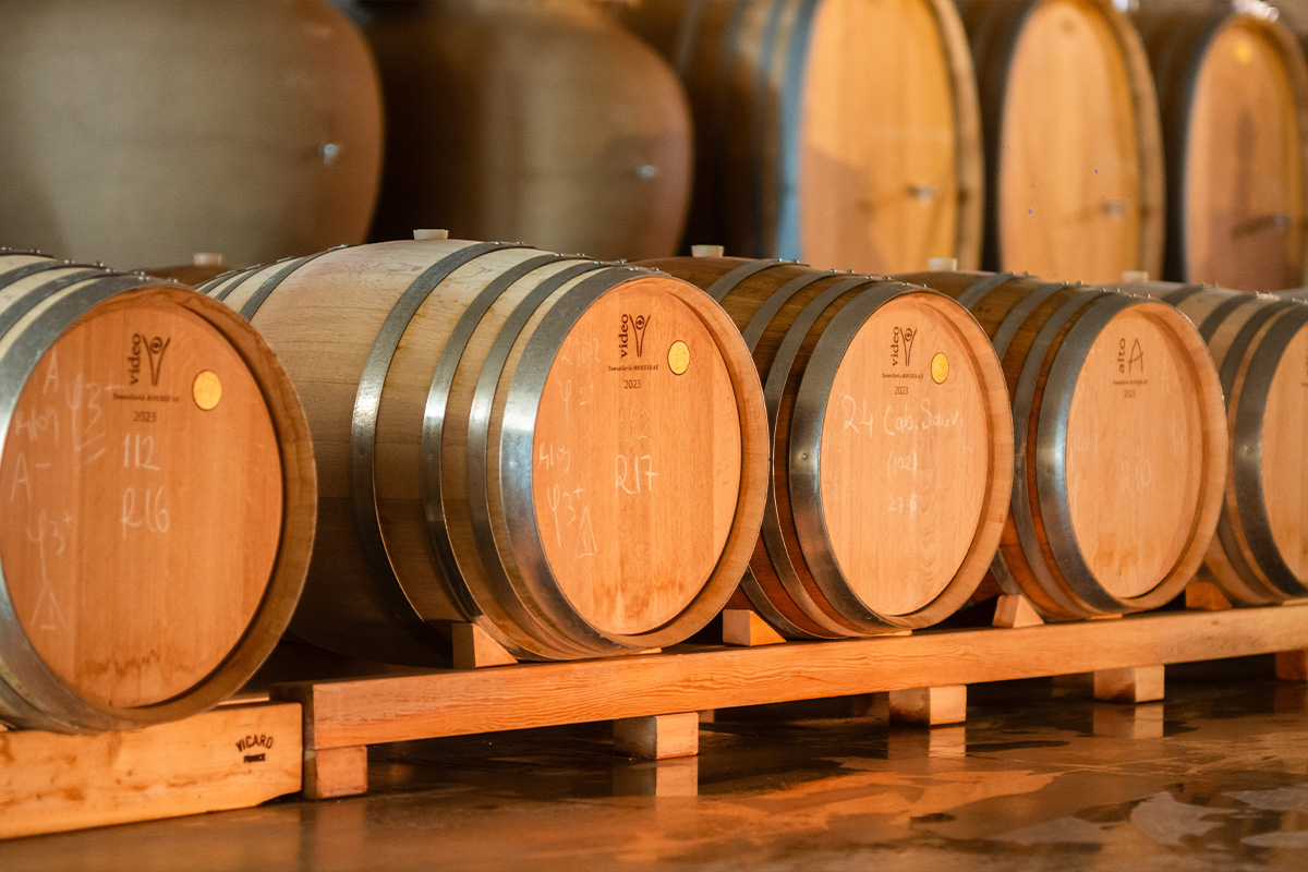 Şarap Yapımı Sanatımız