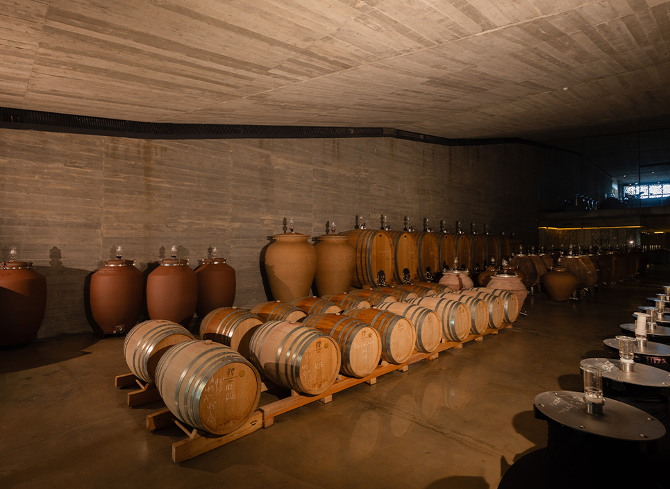 Şaraphane - Amforalar