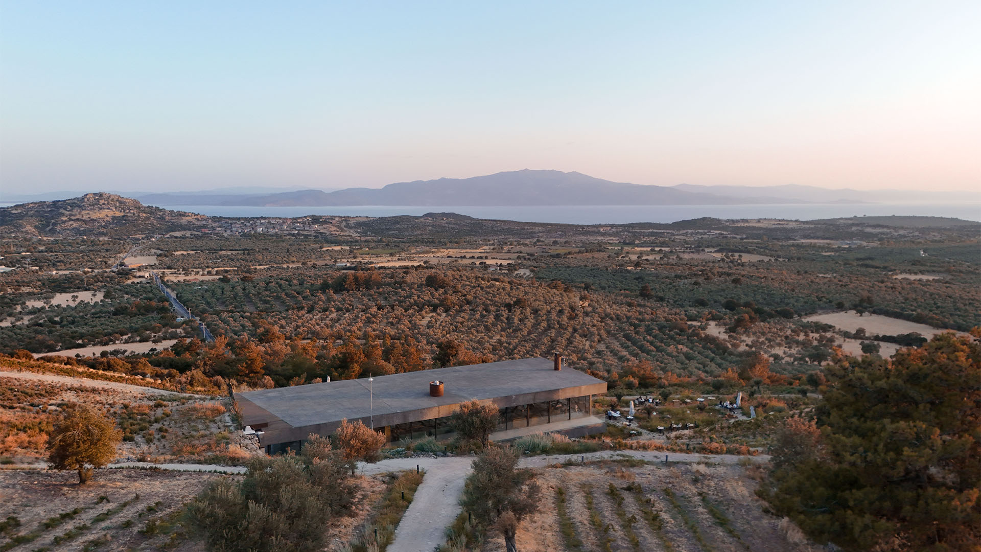 Bağ Yönetimi & Hasat